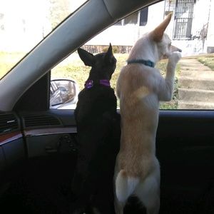 Meet your Posher, Rashard